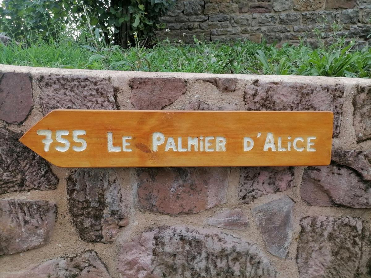 Bed and Breakfast Le Palmier D'Alice Collonges-la-Rouge Екстер'єр фото